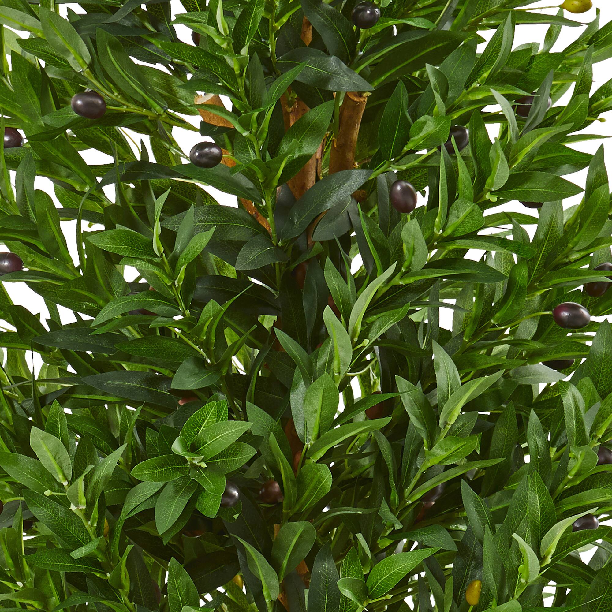 4.5ft. Potted Olive Cone Topiary Tree